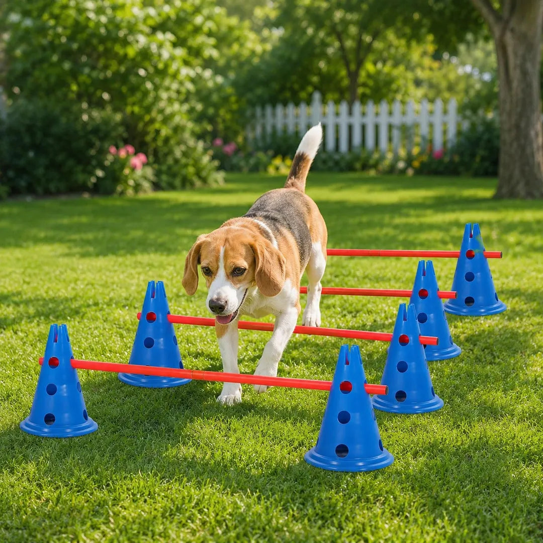 Dog Agility & Coordination Training Set – 12 Cones + 6 Poles