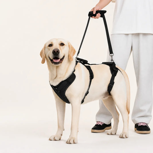 3-in-1 Full-Body Dog Mobility Support Harness