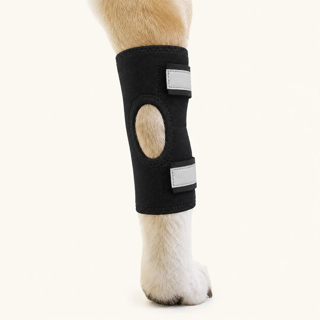 Senior Dog Hock Support Pair – Soft Adjustable Rear Leg Support