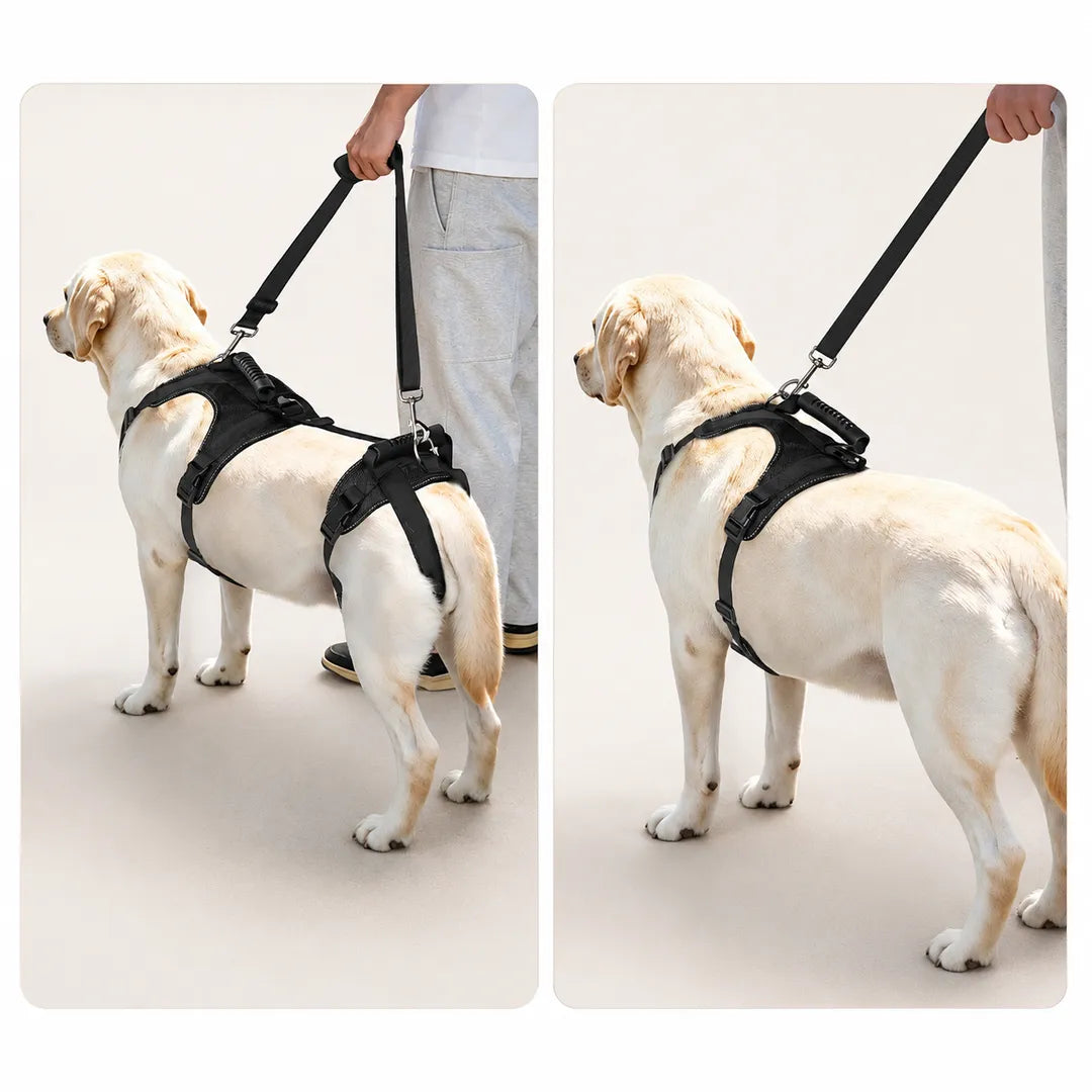 3-in-1 Full-Body Dog Mobility Support Harness