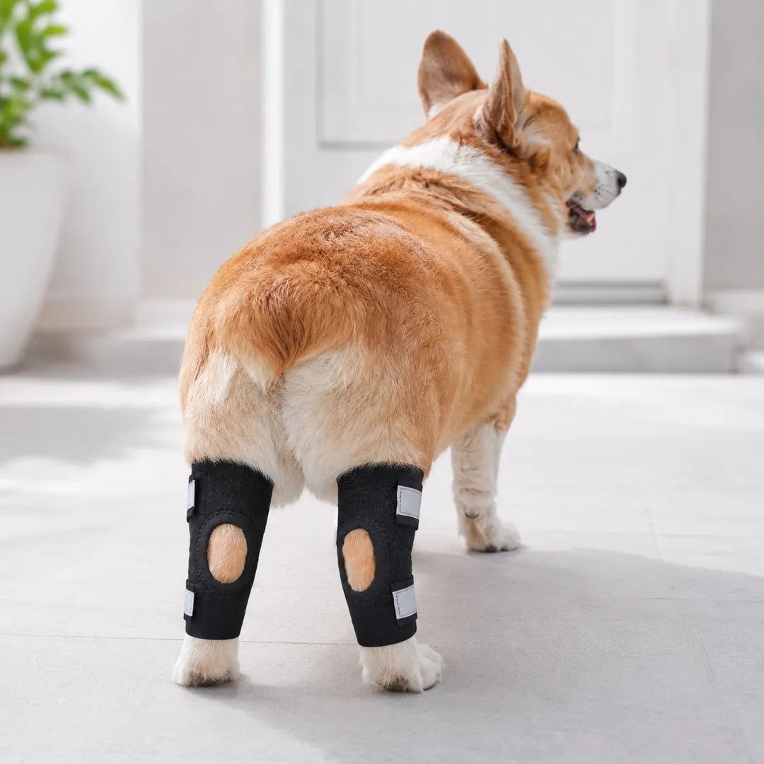 Senior Dog Hock Support Pair – Soft Adjustable Rear Leg Support