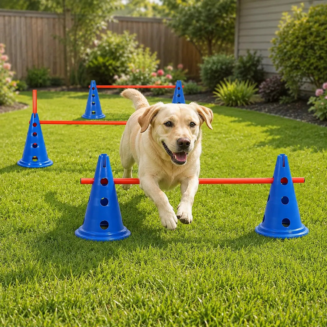Dog Agility & Coordination Training Set – 12 Cones + 6 Poles