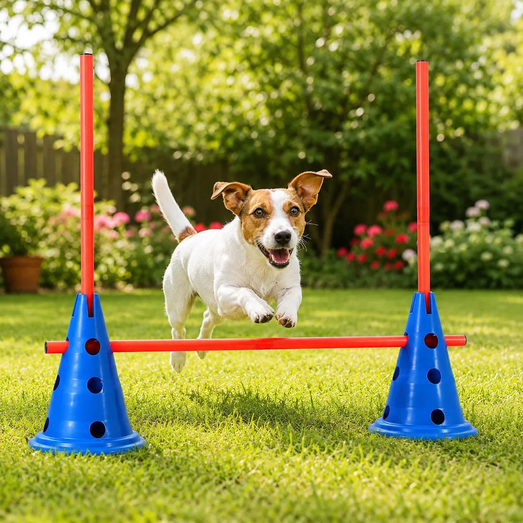 Dog Agility & Coordination Training Set – 12 Cones + 6 Poles