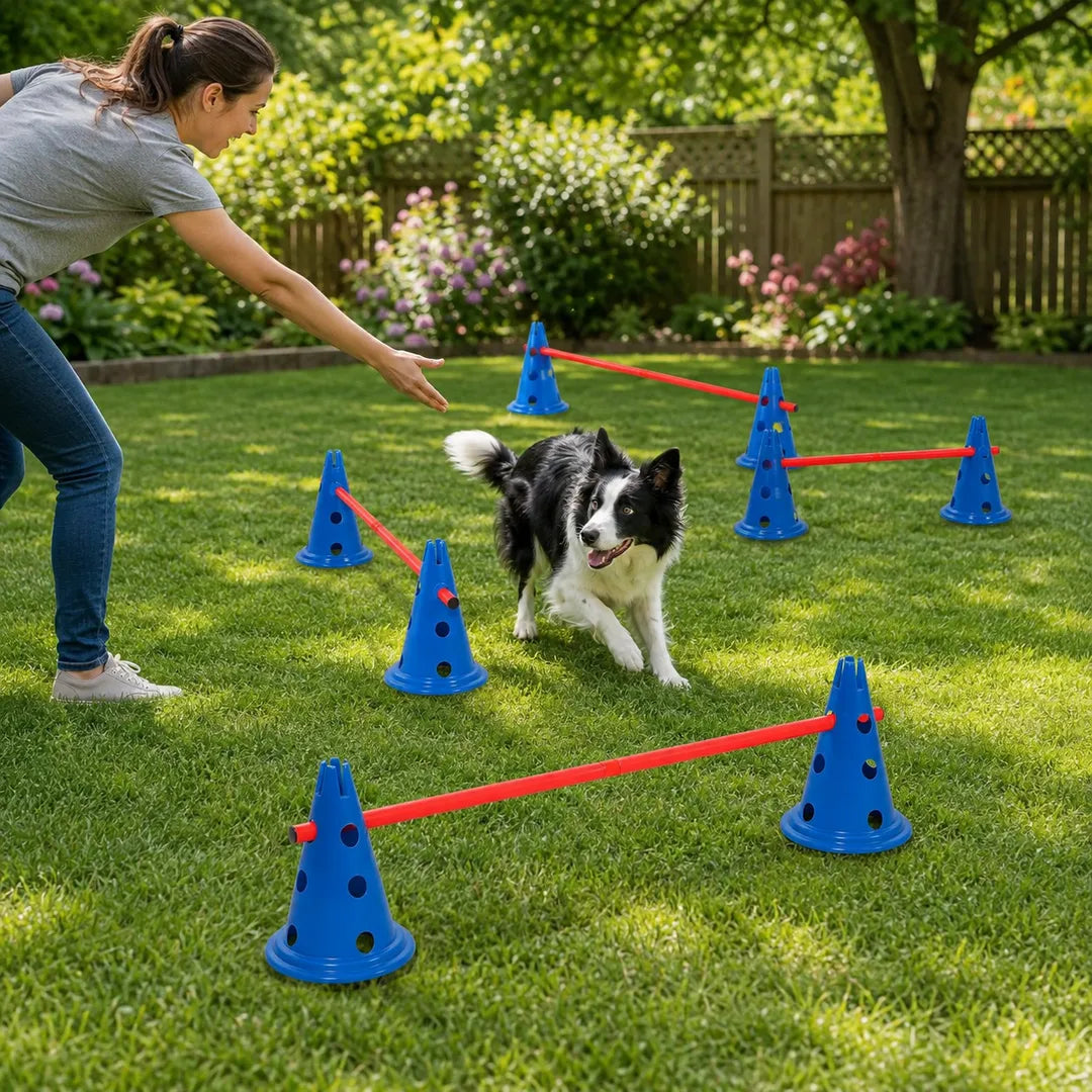 Dog Agility & Coordination Training Set – 12 Cones + 6 Poles