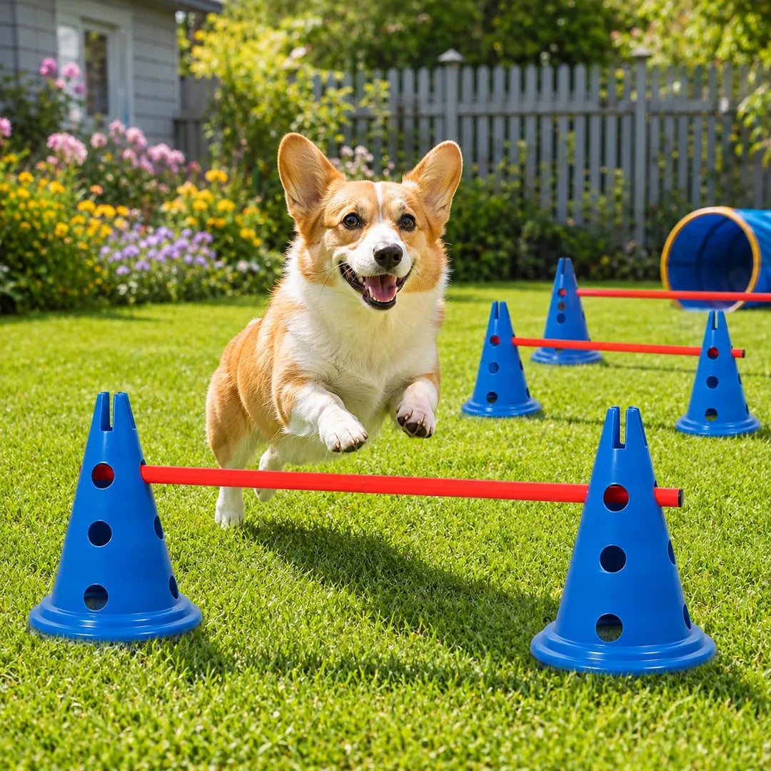 Dog Agility & Coordination Training Set – 12 Cones + 6 Poles