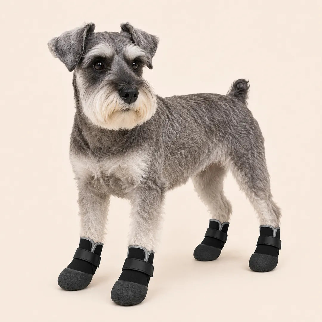 Soft Traction Dog Boots for Senior Dogs – Flexible Grip Booties
